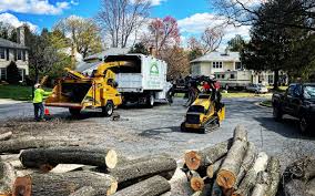 Best Firewood Processing and Delivery  in Beardstown, IL